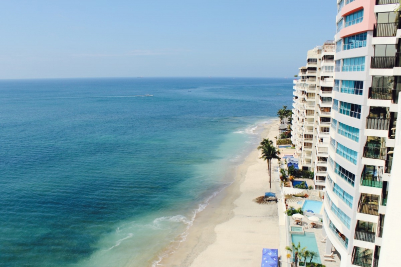 chambre-hote-ANTIBES-min_beach_ocean_shore_hotel_palm_tree-33726